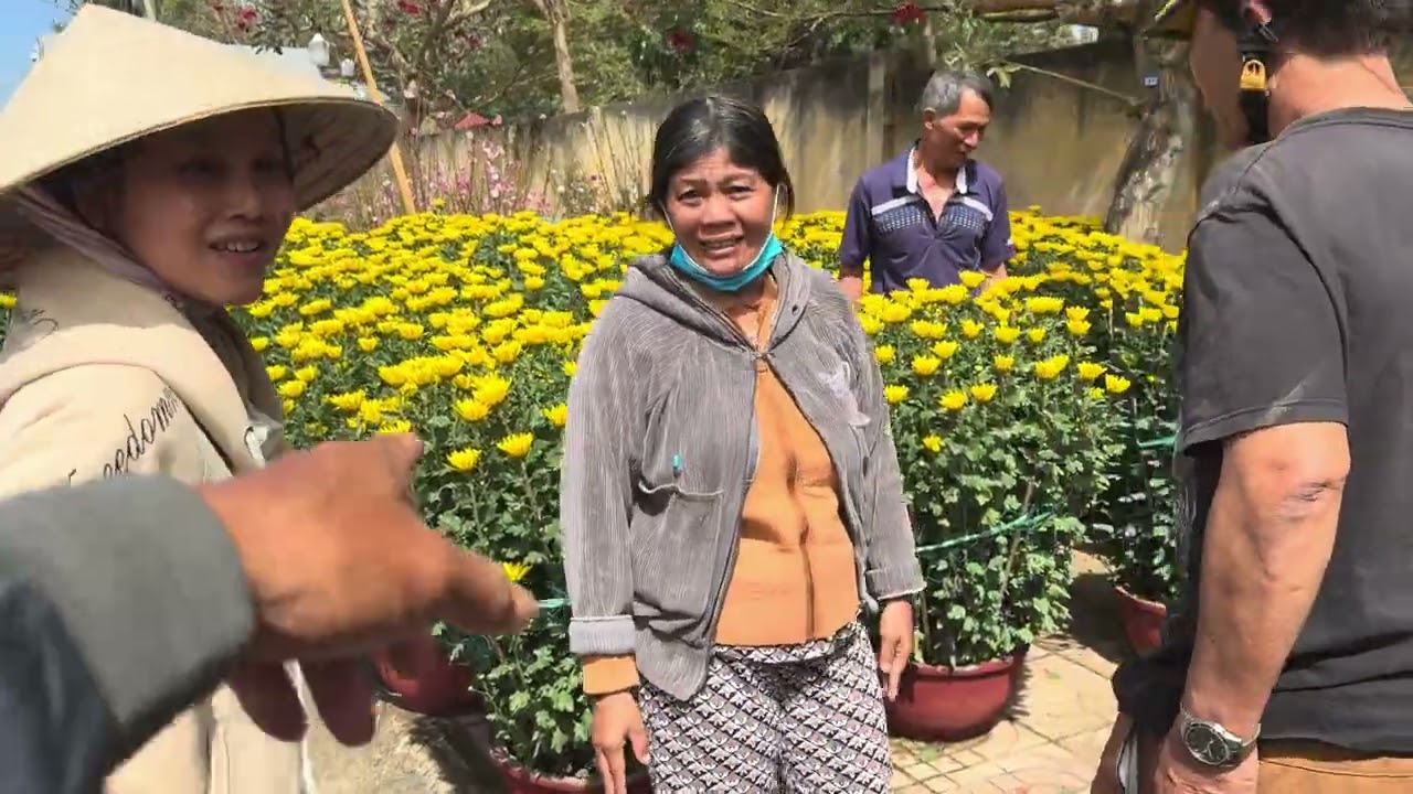 @đường hoa Đức Trọng  sáng ngày 27/12 đủ các loài hoa ko khí khá rộng ràng🌸