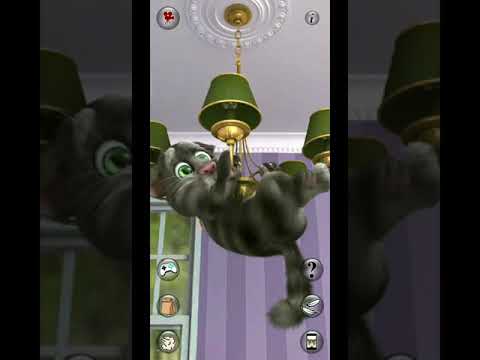 Talking Tom 2