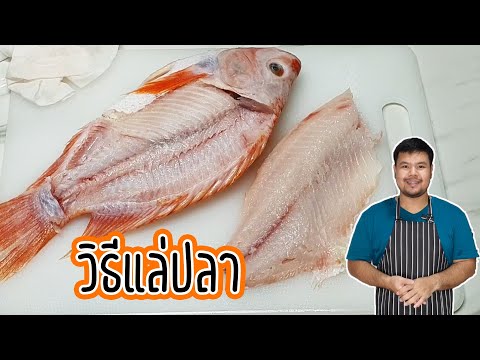 วีดีโอ: วิธีการแล่ปลาเฮอริ่ง