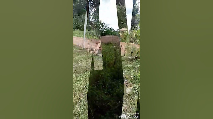- 18 minutos para limpar o terreno😀😀