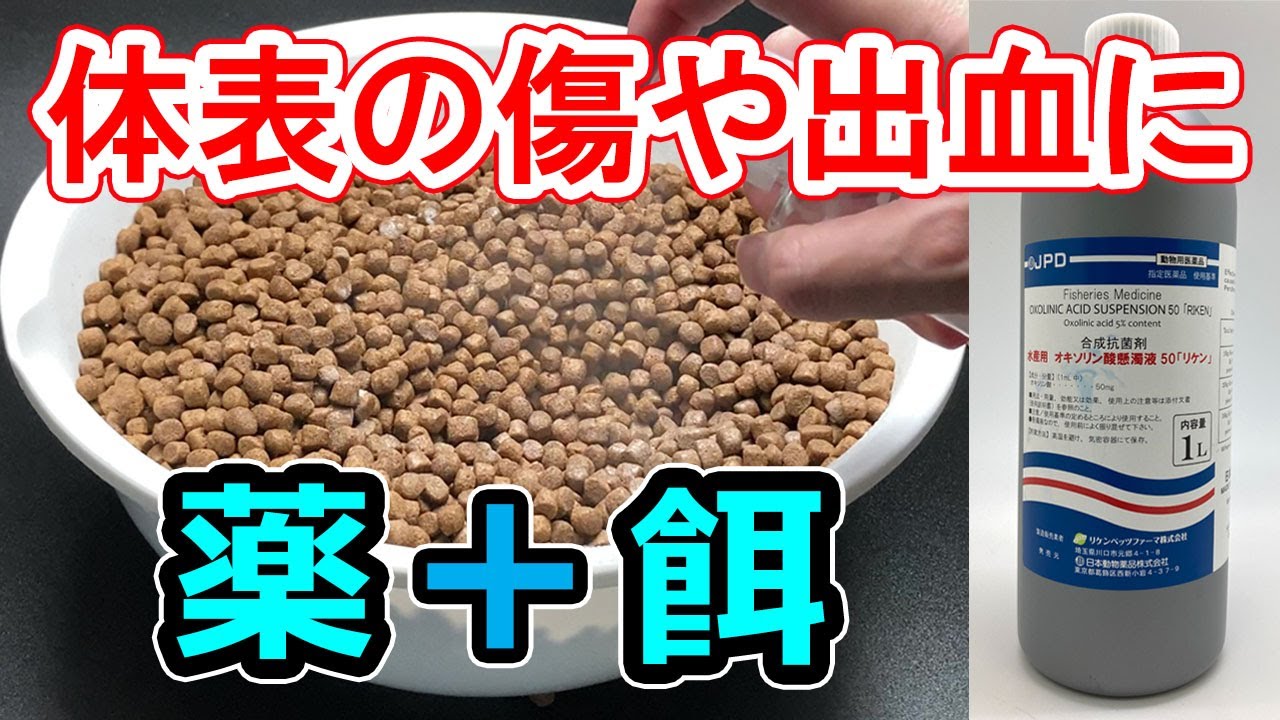 デフラインムン経口懸濁液リーフレット