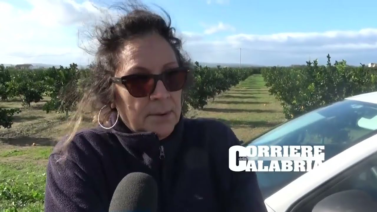 Incidente treno-camion a Corigliano Rossano, la testimone: «Tanta paura, la casa ha tremato»