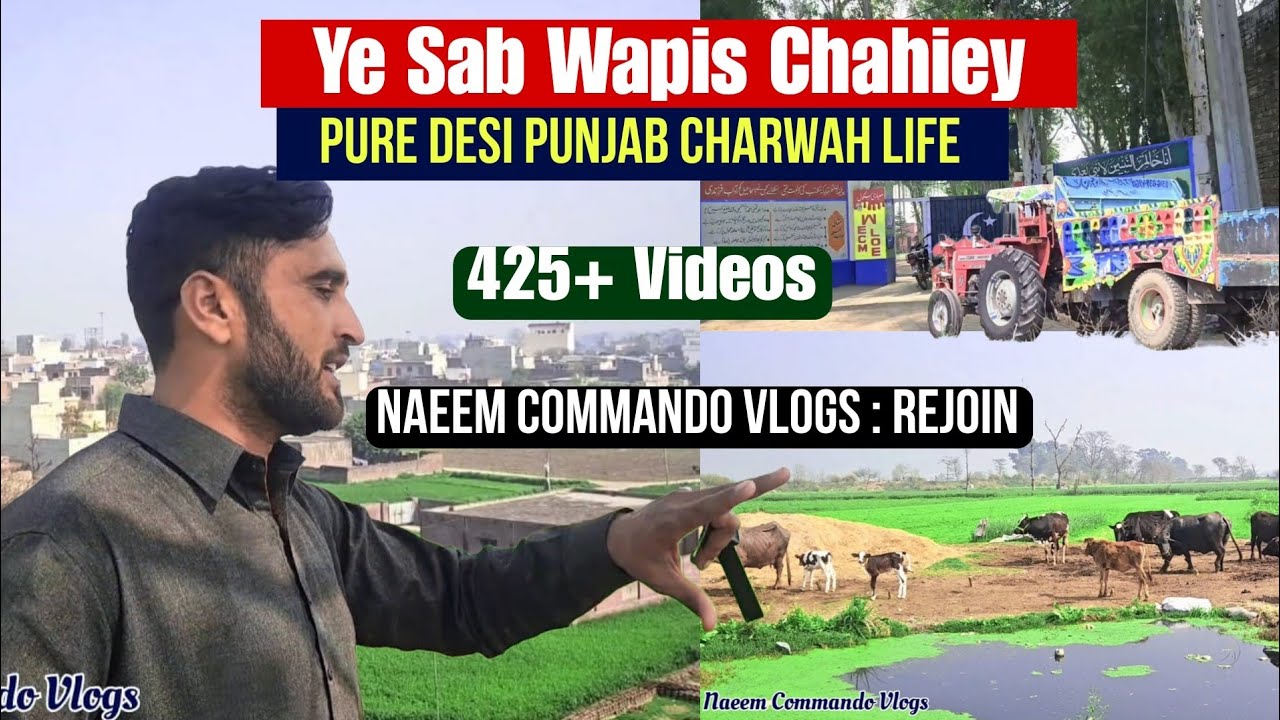 Rejoin YouTube Channel: Ye Sab Wapis Chahiye | Pure Desi Punjab Charwah Life | Naeem Commando Vlogs