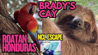 Brady’s Cay Excursion Roatan | Sloths, Monkeys & Macaws | Norwegian Escape | EECC Group Cruise | 🦥🐒🦜 screenshot 5