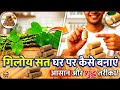 बाज़ार की मिलावट छोड़ो! घर पर बनाएं 'अमृता' का असली सत (Giloy Satva)#natural health# गिलोय#sajilatan