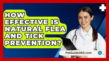 How Effective Is Natural Flea And Tick Prevention? - PetGuide360.com