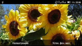 Sunflower Magic live wallpaper screenshot 5