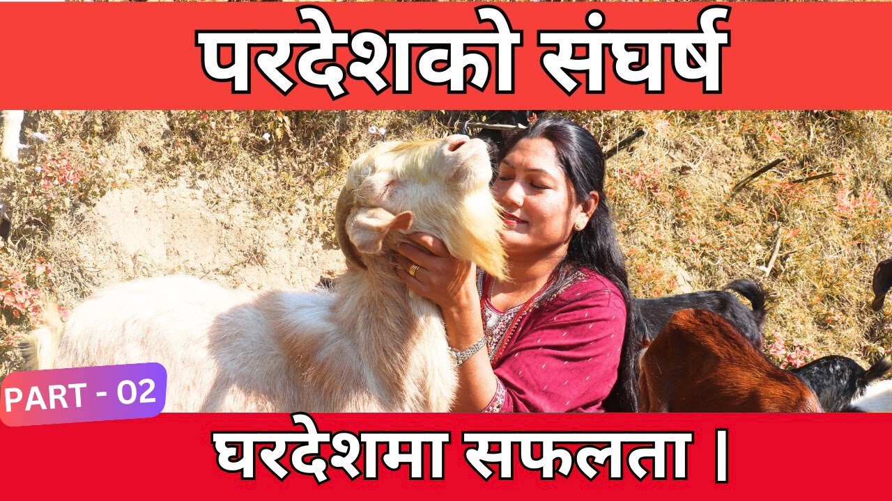 परदेशको संघर्ष , घरदेशमा सफलता । 🐐 कलाकार इन्दीराले लेखिन्  बाख्रापालनबाट सफलताको कथा ।