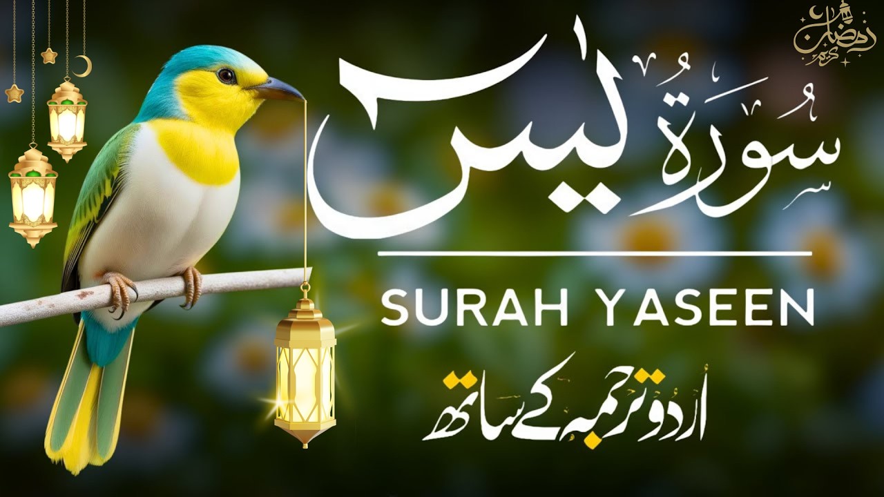 Surah Yaseen | Surah Yaseen With Urdu Translation | Al Furqan Studio | Ep109