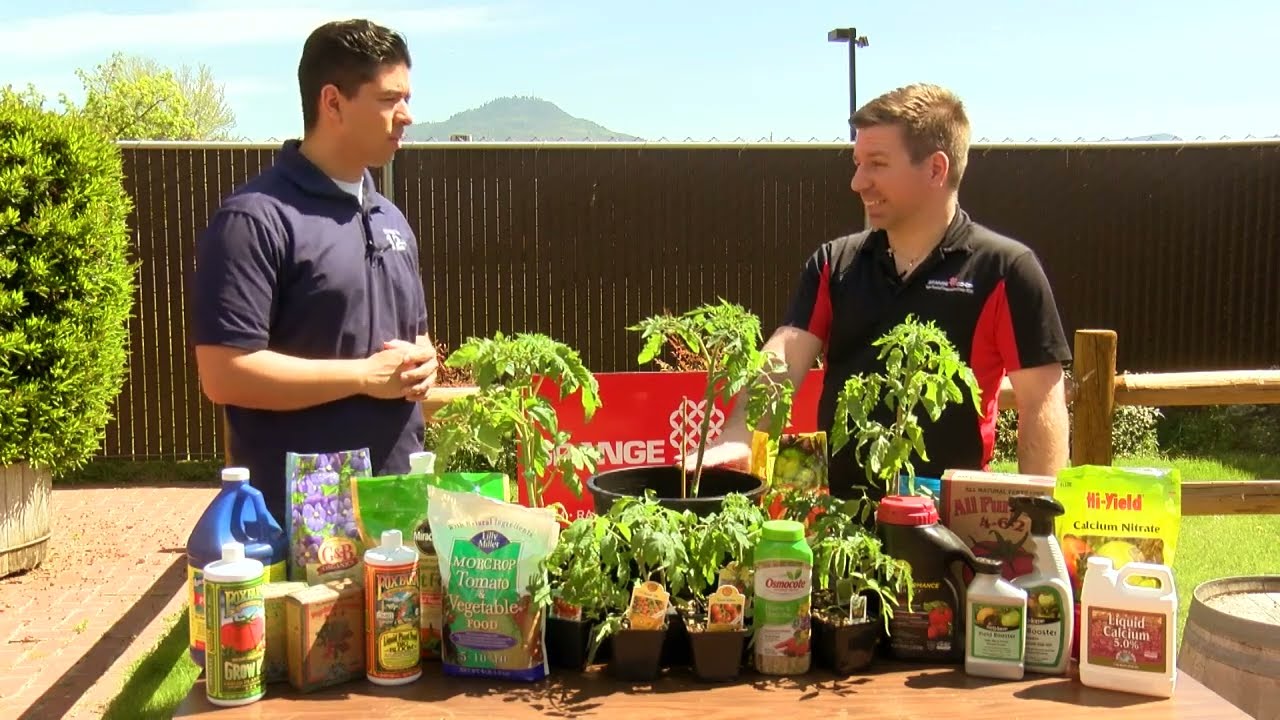 Lilly Miller 5-10-10 Morcrop Tomato & Vegetable Plant Food - 16 lb