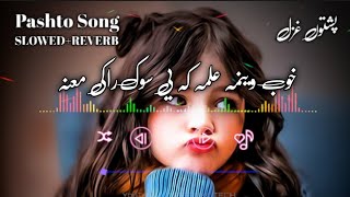 Pashto New Song || Khob Wenam Alama ka ye Sok Raki Mana || Pashto Ghazal || 2024 SLOWED REVERB