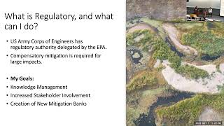 Scaling Restoration: From Watersheds to Wetlands