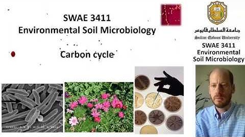 SWAE3411 - The carbon cycle and soil microbes