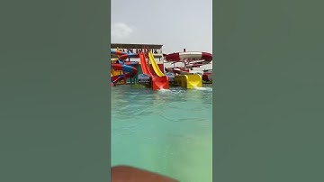 Shark water world 🤣🤣