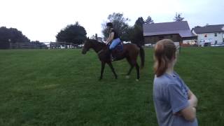 Petey 092712