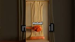 My boyfriend made a pros and cons list about me before