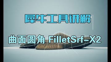 Rhino 犀牛命令工具操作详解课程11-01曲面圆角 FilletSrf X2