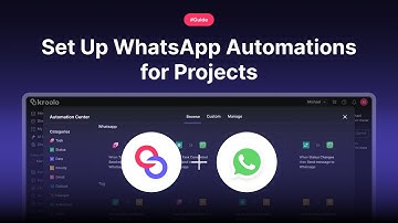Set Up WhatsApp Automations for Projects