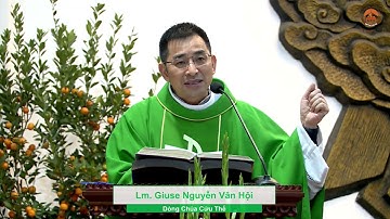 BỐN LIỀU THUỐC TUYỆT VỜI - LM. GIUSE NGUYỄN VĂN HỘI, DCCT