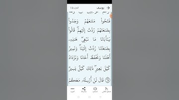 سورة يوسف صفحة (٢٤٣)