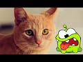 Om nom  compilation season 1  all episodes  funny cartoon