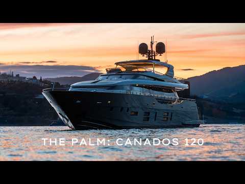 The Palm video