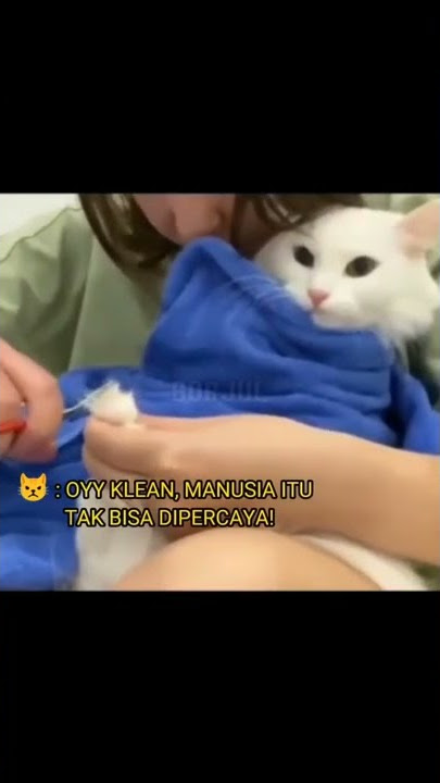 Random pemersatu bangsa, tiktok viral, anime edit, video lucu, dan video menghibur lainnnya #short