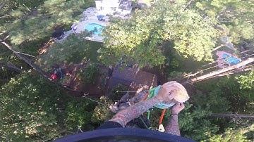 Rigging Down a Pine Top