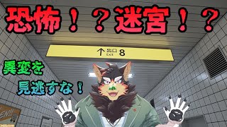 【8番出口】ちょっとした違和感を見逃すな！？【VTuber/ジュージュー】