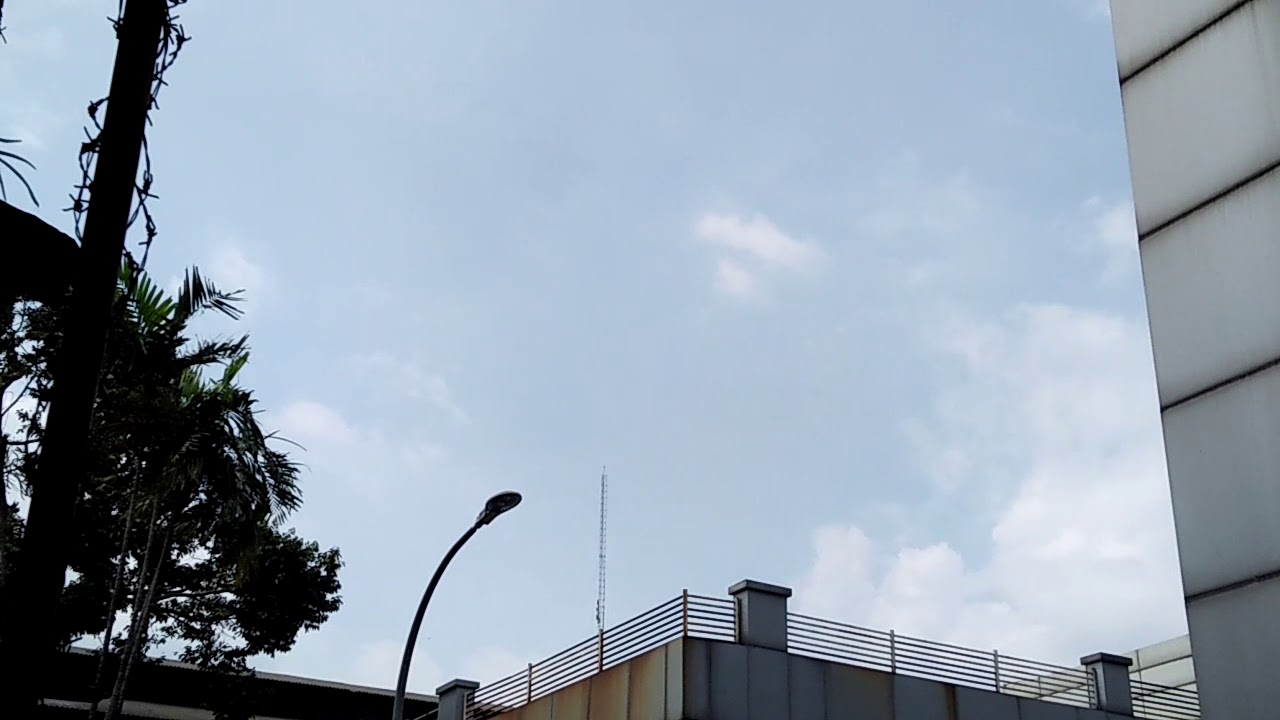 PERHATIKAN !!!. penampakan 2 burung besar 