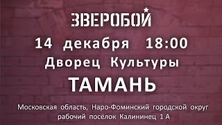 Зверобой. Приглашение На Концерт 14 Декабря Дкис 