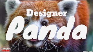 Panda lyrics video - Designer