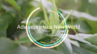 Macro Monsters Micro World Promo