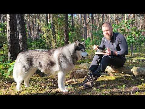 A NIGHT IN THE FOREST WITH A WOLF - BJV#2