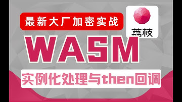 【最新大厂加密】荔枝网wasm逆向实战，加密实例化处理与then回调丨Python爬虫逆向实战