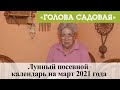 Голова садовая - Лунный посевной календарь на март 2021 года