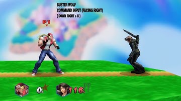 TERRY SPECIAL INPUT GUIDE ( 0.95DX VERSION)