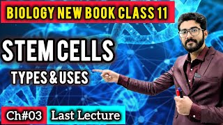 Stem Cells (Types, Functions & Uses) | Class 11 New Syllabus 2025