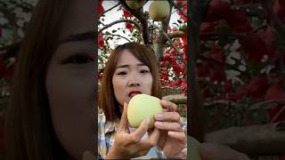 High Profit Fruits Farming Kam Lagat Me Zyada Munafa Fruit Farming In India