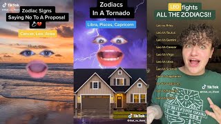 That vs Them Zodiac Signs | Dailey TikTok Zodiac Signs Series