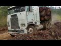 Bajando madera del cerro nervios de acero 😎👌