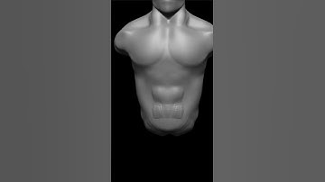 zbrush torso sculpting #zbrushsculpting #art #animation #digitalsculpting #zbrush #digitalart
