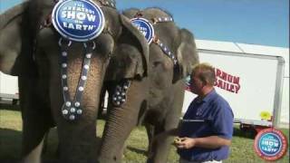 Ringling Bros Presents DRAGONS - Behind The Scenes with the Elephants of the Wisdom Tribe
