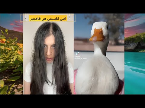 اروع 6 قصص اسراء نبيل جديده كاملة ادخل شوف بنفسك اي القصص قصص اسراء نبيل قصص واقعية
