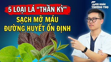 Top 5 Loại Lá "Quét Sạch" Mỡ Máu Và  Ổn Định Đường Huyết