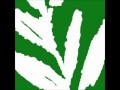 We Need Help - The Album Leaf