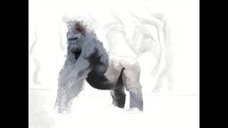 Gorilla study