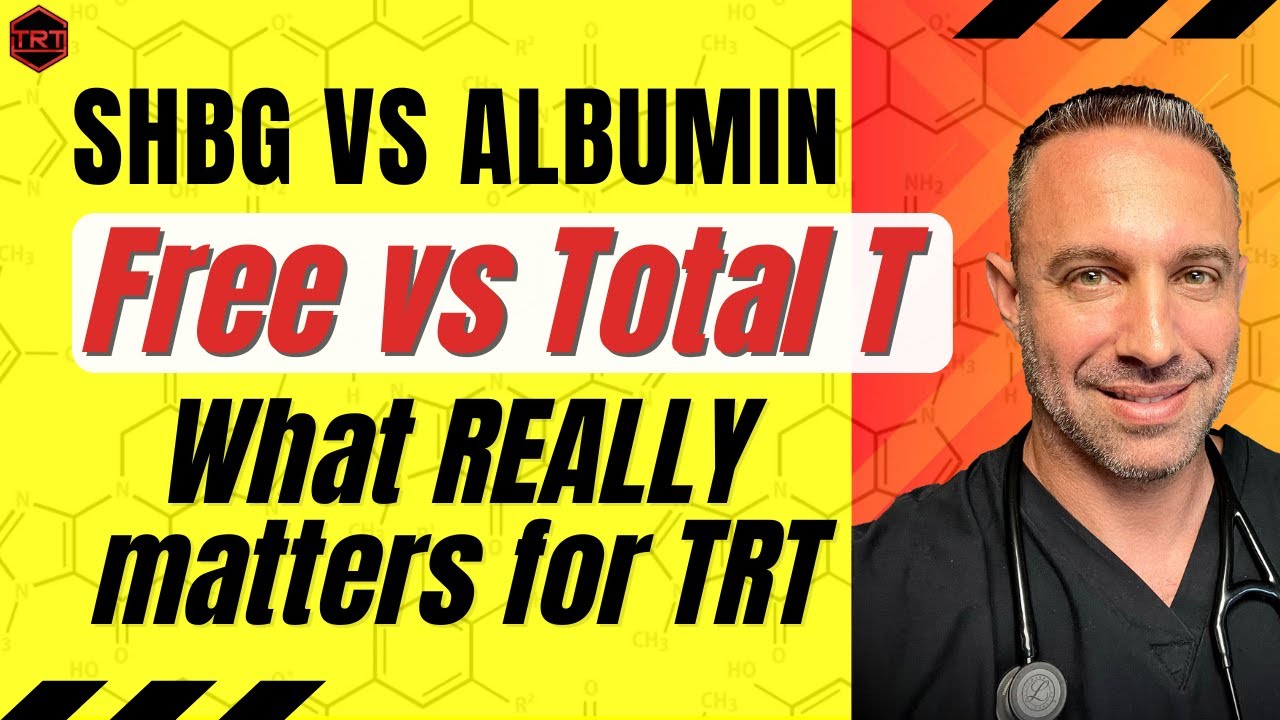 How Does Albumin Bind To Testosterone? – ONXORX