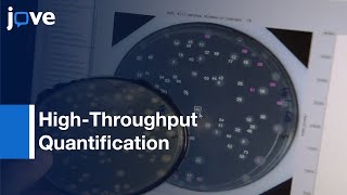 Quantification Of Colony Growth and Lag Time: ScanLag