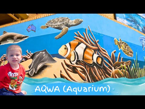 Kids meet sea life at AQWA (Aquarium) | TRIPLE TIME OFFICIAL |